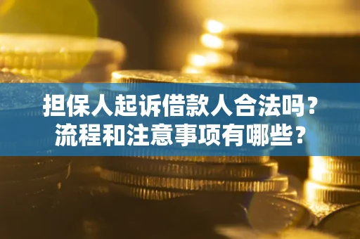 北京担保人起诉借款人合法吗？流程和注意事项有哪些？
