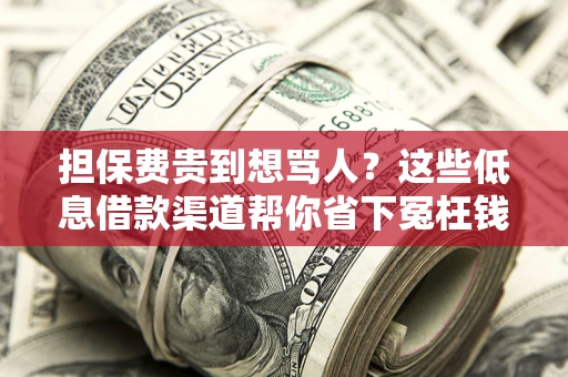 北京担保费贵到想骂人？这些低息借款渠道帮你省下冤枉钱