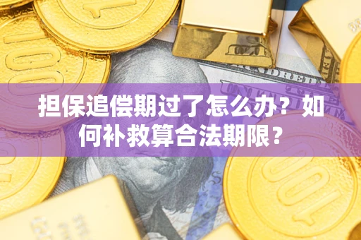 北京担保追偿期过了怎么办？如何补救算合法期限？