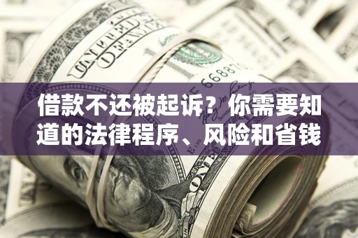 北京借款不还被起诉？你需要知道的法律程序、风险和省钱技巧