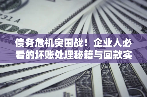 北京债务危机突围战！企业人必看的坏账处理秘籍与回款实战指南